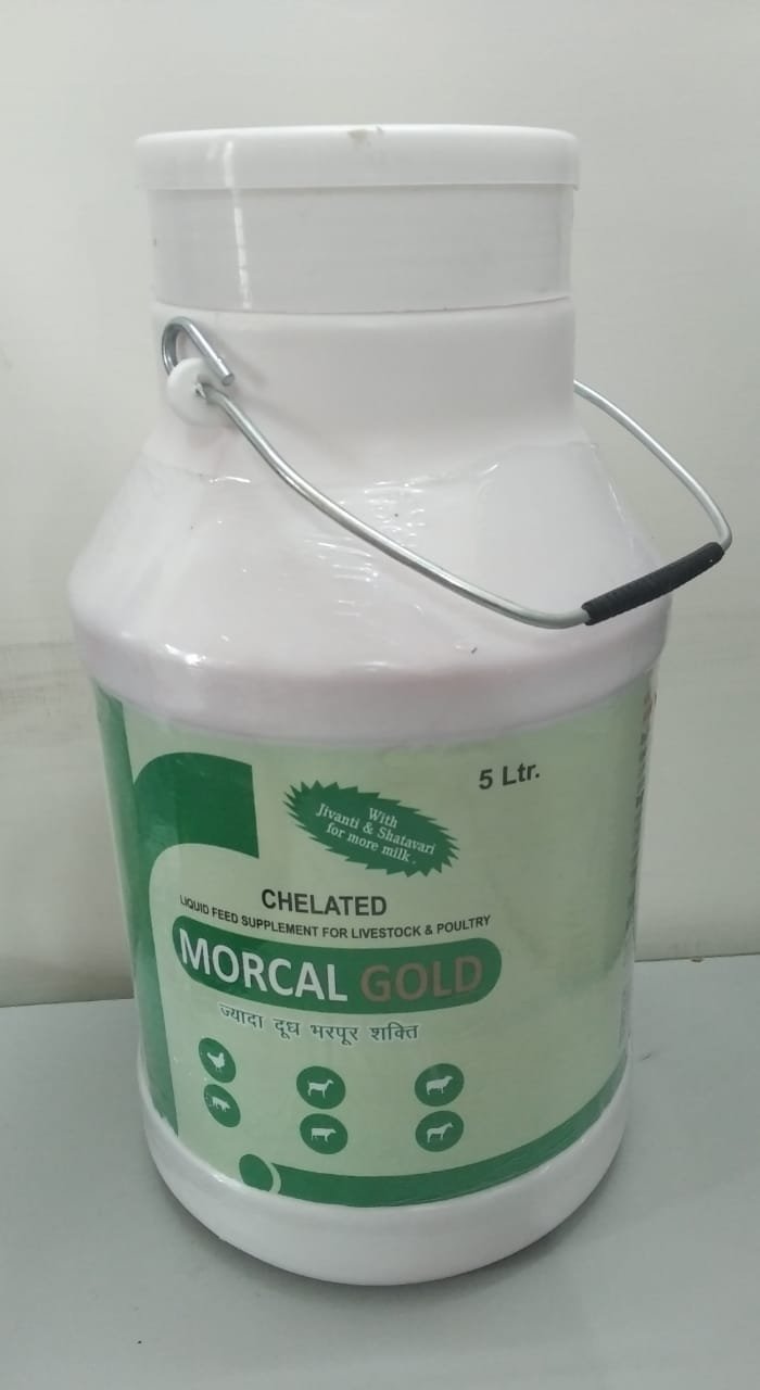 MORCAL GOLD 5 LTR